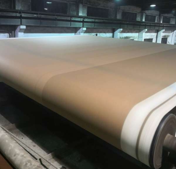 Reinigung des Pressfilzes